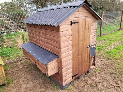 Moreton 4 poultry - 6',