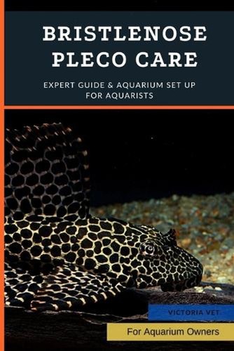 Bristlenose pleco care expert - bristlenose,