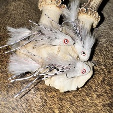 X3 White Mini Dungeon Trout