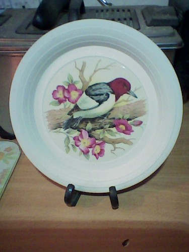 Hornsea concept decorative - hornsea,