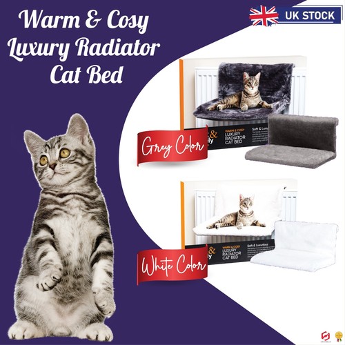 Cat kitten hanging radiator - hanging,