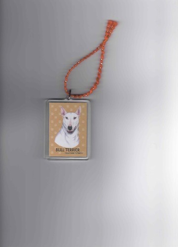 White bull terrier - white,