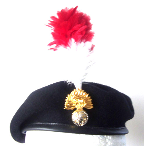 Royal regiment fusiliers - royal,