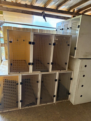 Stackable plastic proffecional - plastic,