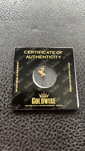 Rare raw gold scottish - gold,