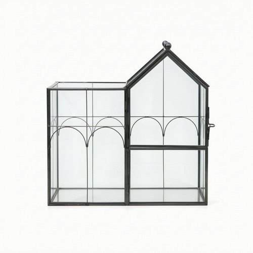 Glass terrarium with - glass,