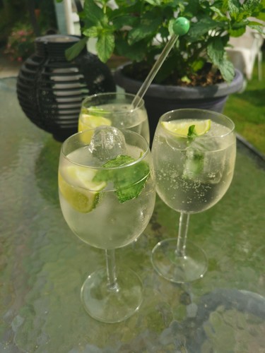 Mint plant plugs - x, cocktail