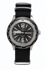 Ball Engineer Master II World Timer Automatic Mens Wrist Watch Stainless Steel