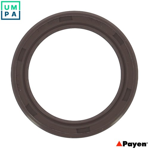 Shaft seal crankshaft nb799 - shaft,