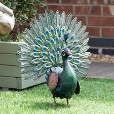 Peacock Fantail Metal Garden