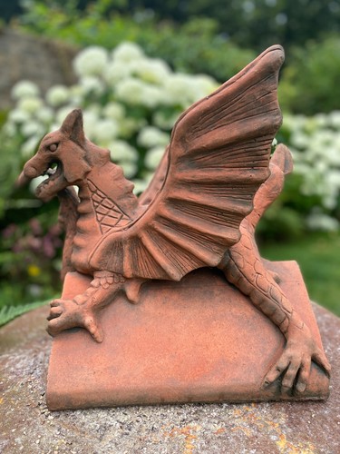Brecon dragon roof - , 100