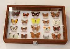 A COLLCTION OF 20 BRITISH