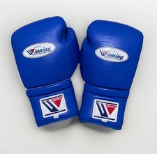 Winning Boxing Gloves MS-500