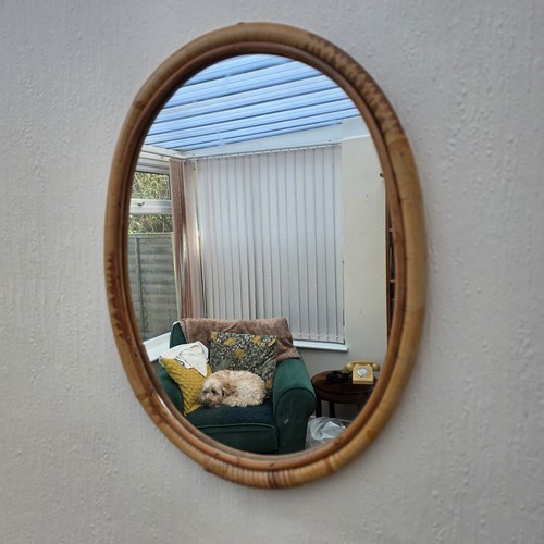 Vintage bamboo oval cane - bamboo,