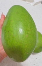 Special offer! 3 Tropical