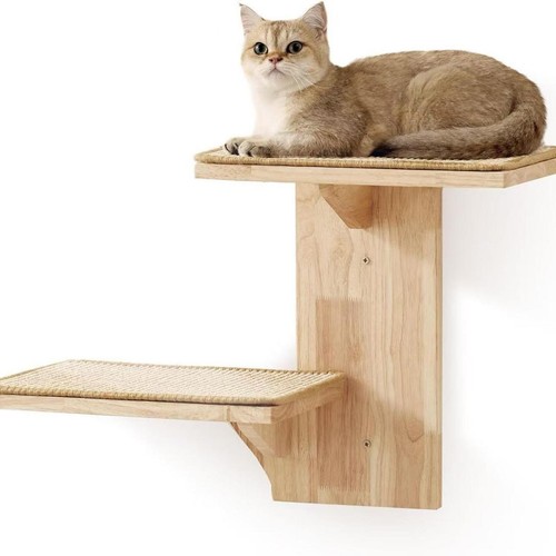 Cat wall shelves - wall, with
