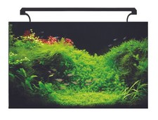 AquaNano 80 Glass Aquarium 130L Complete Stunning Fish Tank Set LED Filter