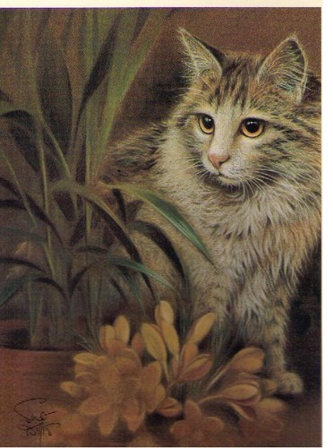 Sue willis oliver - willis,