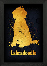 Labradoodle Framed Wall Art