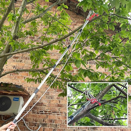 Tree loppers long reach - tree,
