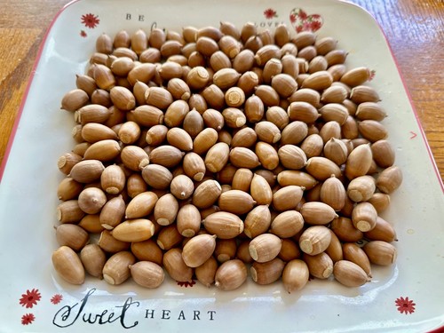 Pound natural white - 1,