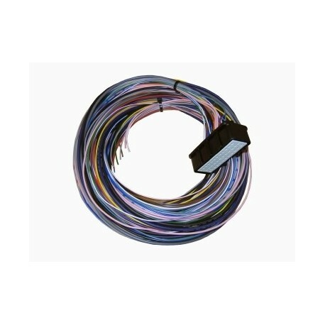 Omex 200 ecu plug tails - 200,