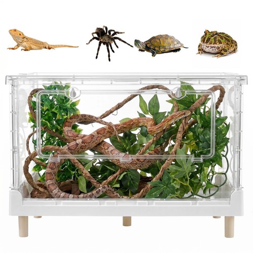 X18 x17 large reptile - large,