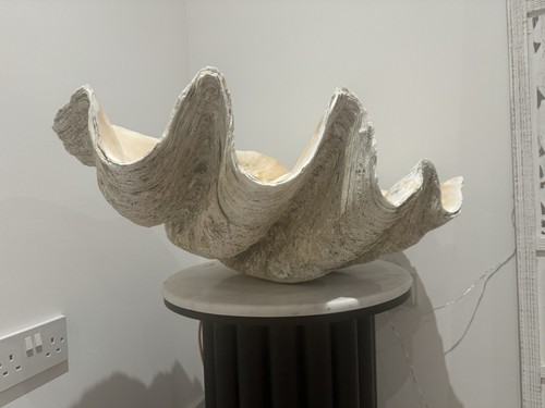 Clam shell antique - shell,