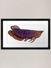 Arowana Fish Framed Art Print