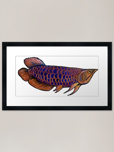 Arowana fish framed art print - arowana,