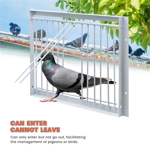 Removable trap door bird - door, cage