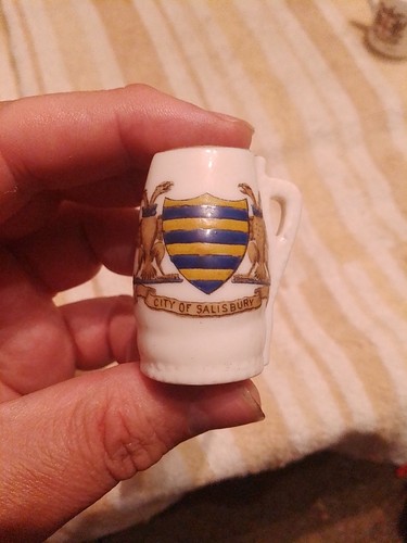 Crested ware city salisbury - crested, of