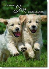 Doodlecards Son Birthday Card