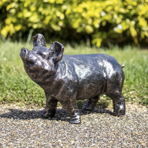Bronze curious pig - bronze, garden