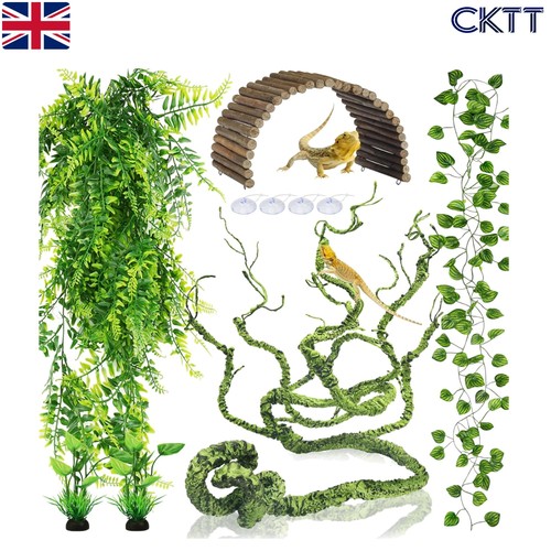 Realistic jungle climber vine - realistic,
