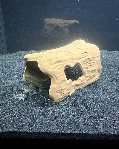 Aquarium cave tree - aquarium,