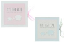 Baby Record Book My First Year