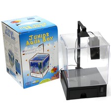 1.5 gal / 5.5L Aquarium Fish