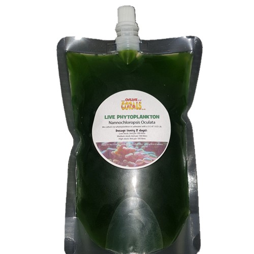 Live phytoplankton - live,
