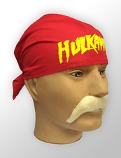 Hulk Hogan Hulkamania Fancy