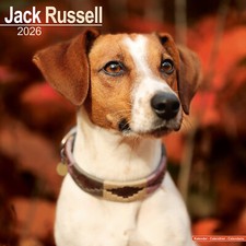 Jack Russell 2026 Calendar | Dog Breed Gift Wall 15% OFF MULTI ORDERS