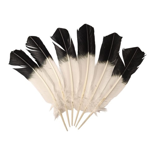 Turkey feather inch pack - 10-12,
