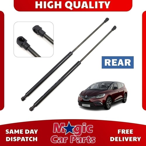 Rear tailgate gas struts for - rear,
