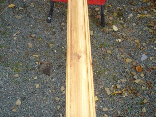 Large pine wood - pine,