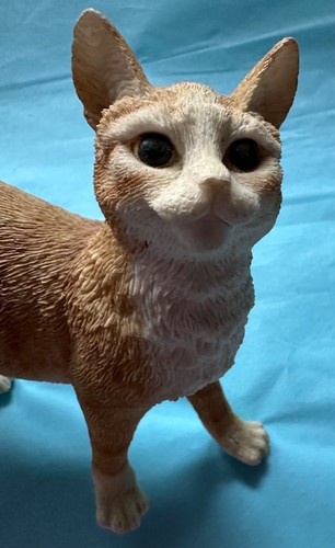 Standing ginger tabby cat - standing,