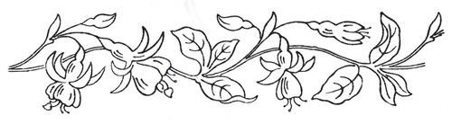 Embroidery transfer iron - transfer, on