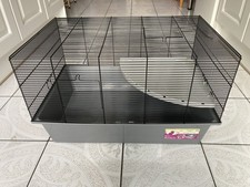 Pets at Home Extra large