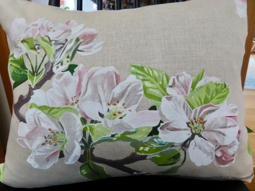 Manuel canovas 20 x - "manuel, canovas'