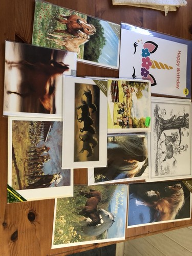 New equestrian joblot - equestrian,