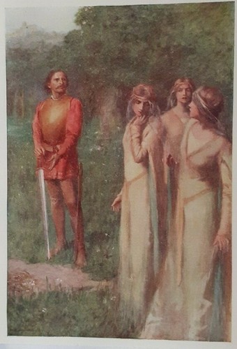 The knight - &,